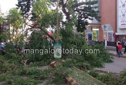 Tree falls on road near pandeshwar
